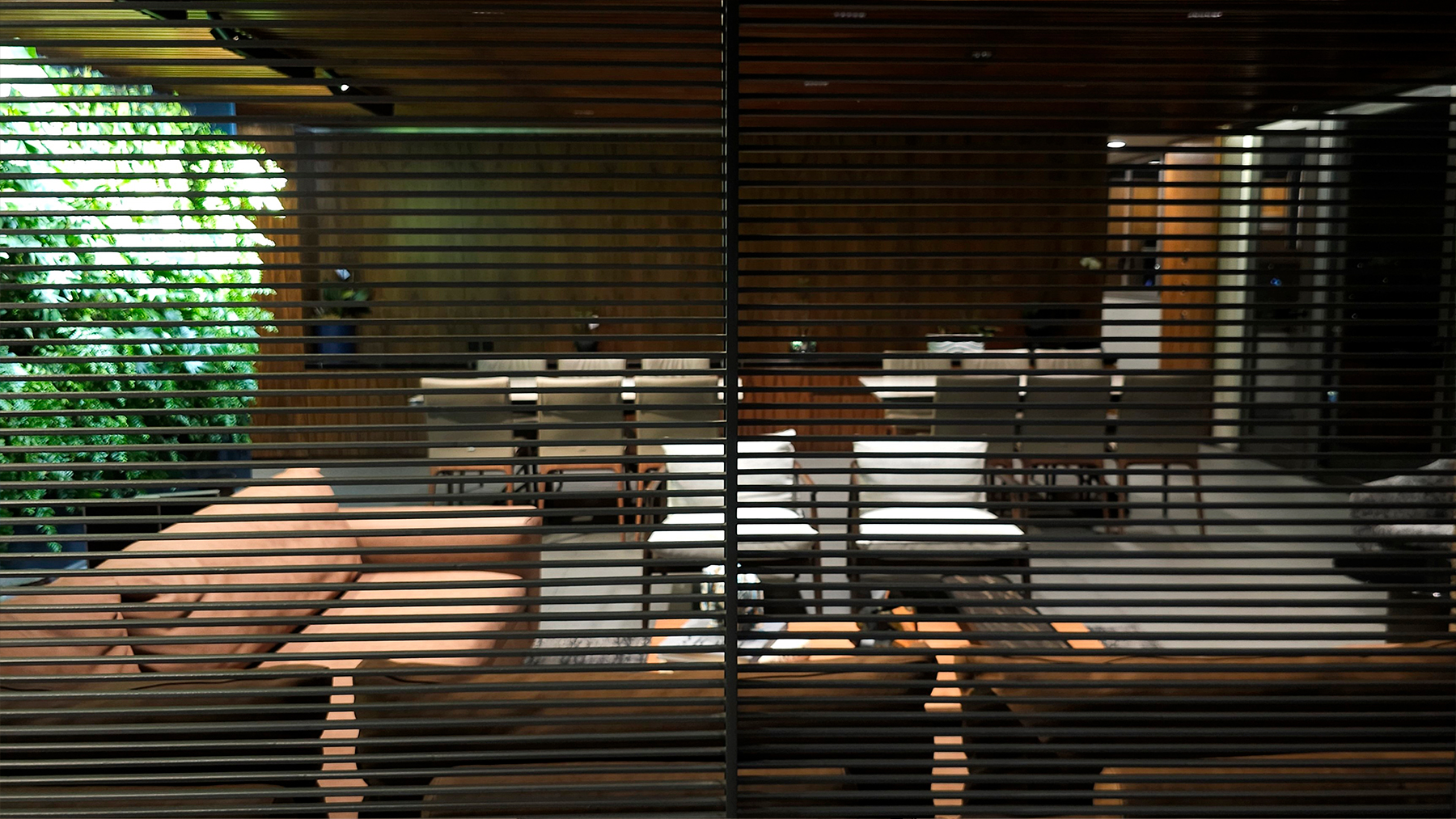 proyecto Itambe